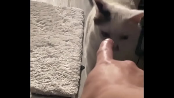 Yeah guess who knocked down one of my lights 