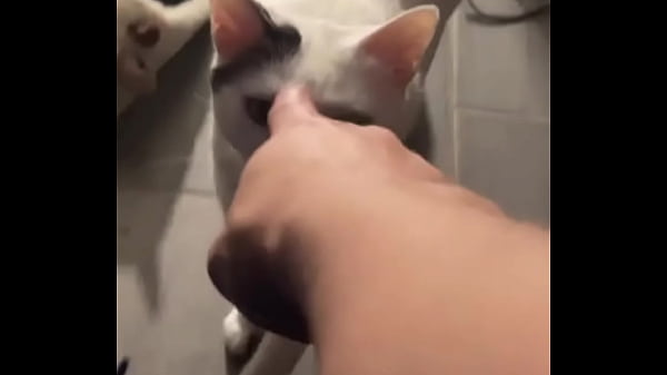 Yeah guess who knocked down one of my lights 