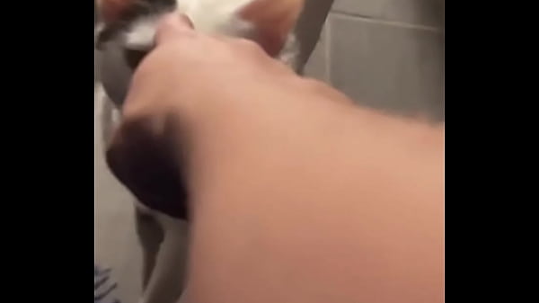 Yeah guess who knocked down one of my lights  Prev1...678910111213141516171819202122...112Next SEXBOKEP adalah Website Bokep Indonesia Terbaru dan Terlengkap Gratis dimana Anda dapat menonton streaming video bokep dan download vidio bokep terbaru yang sedang viral dengan aplikasi bokep android, Aplikasi bokep free download simontok app terbaru 2026 for PC Mobile Online dan HP     Contact Us   DMCA   Disclamer   Privacy and Policy   Conditions of Use  &copy; 2026 SEXBOKEP All rights reserved