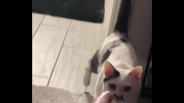 Yeah guess who knocked down one of my lights