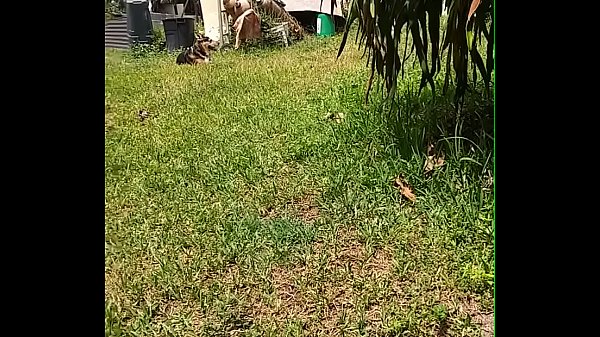 Nonton Controlled Release thumbnail