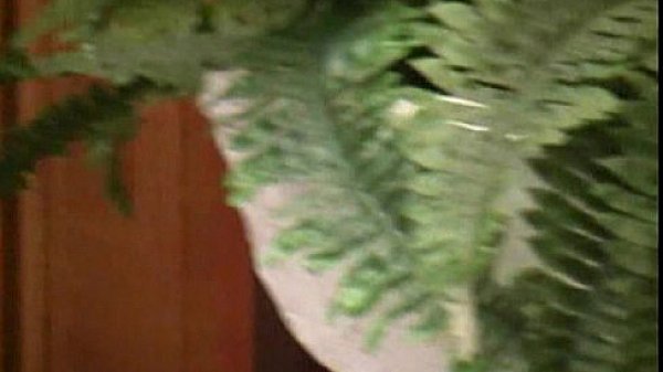 JuliaReaves-nog uit te zoeken1- - Lesbenfieber (NZ9886) - Full movie blowjob fucking babe pussyfucki 