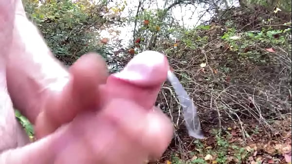 All The Interruptions! thumbnail