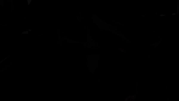 Nonton Dildo Summoning thumbnail