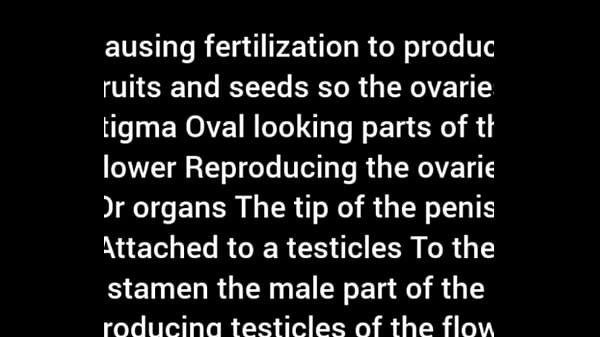 I woke up to ugly brown autumn trees freestyle 