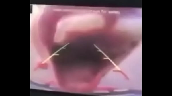 验证视频