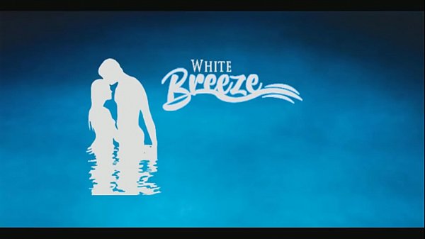 White Breeze Service Presentation