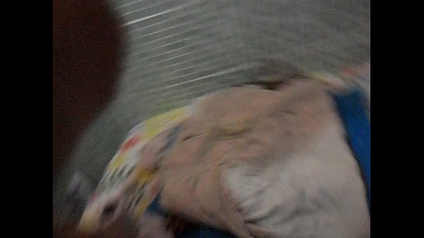 Play MP4 - Dando para moto Boy&period;