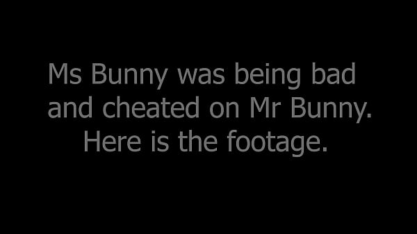 Nonton Bad Bunny Gets Pounded thumbnail