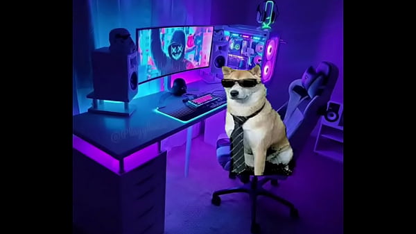 Un tutorial bueno y que necesitas xd