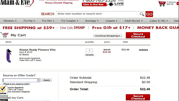 The always ready pleasure vibe review 