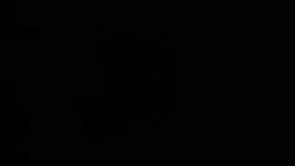 Nonton Onlymaya - Bambolina Helps Us Decorate The Room For A Party thumbnail