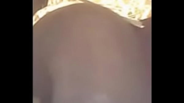 Rabazo de chibola en cabina de internet. 