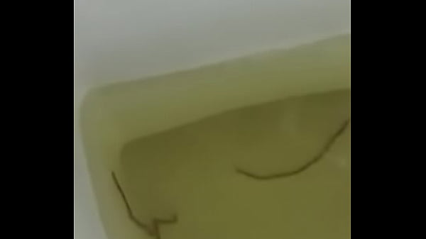 Madura Colombiana llyne_Alvarez_engaña_a su marido con_un dominicano