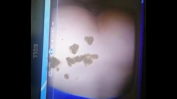 Tribute for Xxxpussytitysassxxxforu