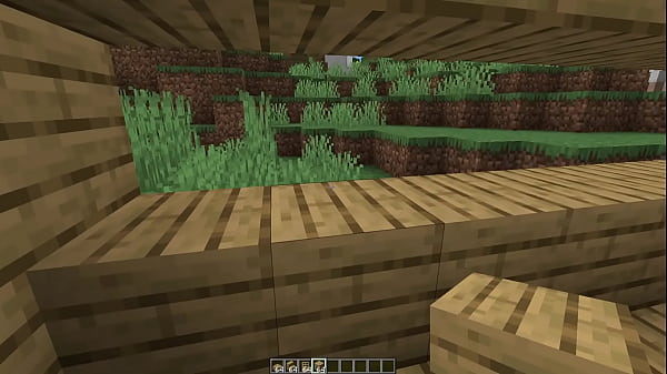 Make a minecraft house 1 18 1 