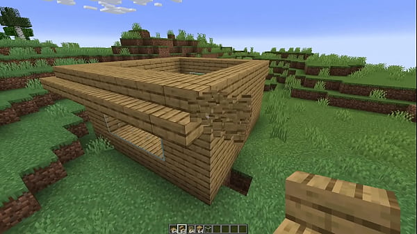 Make a minecraft house 1 18 1