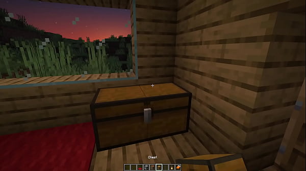 Make a minecraft house 1 18 1 