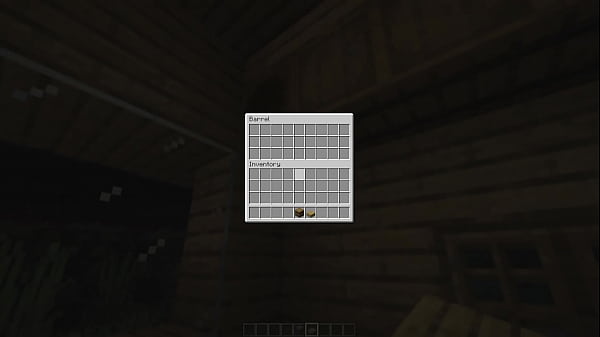 Make a minecraft house 1 18 1 