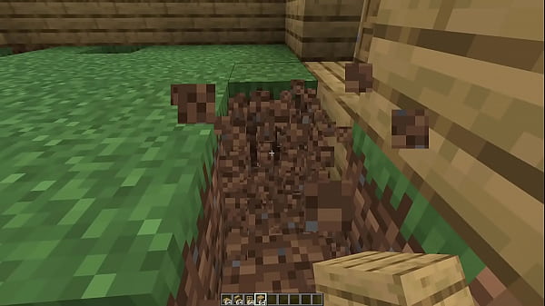 Make a minecraft house 1 18 1