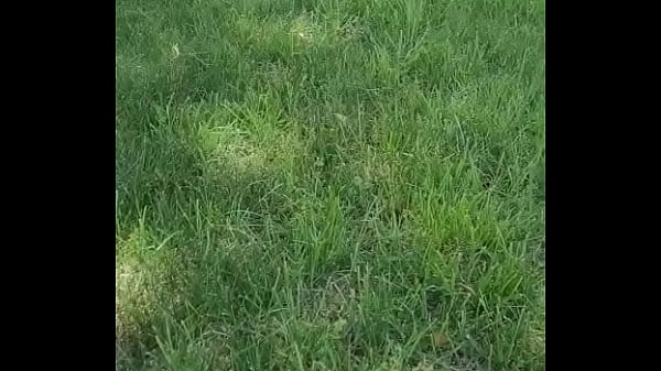 Nonton This Will Be Where I Film The Scene You Guys Voted On.remember The White See Through Crop Top / Button Up. Prepare Yourse... thumbnail