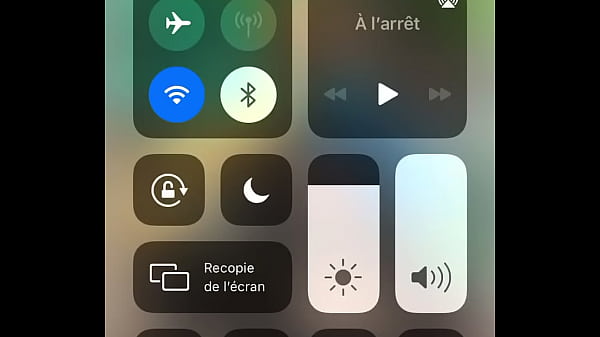 Nonton Sauve Zelda thumbnail