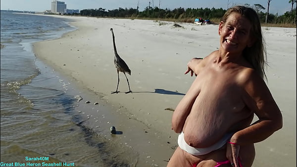 Big Indigo Heron Shell Quest thumbnail