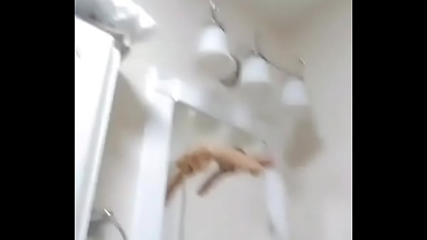 100% chance you're getting slapped with a dildo if you try me  1234567891011Next SEXBOKEP adalah Website Bokep Indonesia Terbaru dan Terlengkap Gratis dimana Anda dapat menonton streaming video bokep dan download vidio bokep terbaru yang sedang viral dengan aplikasi bokep android, Aplikasi bokep free download simontok app terbaru 2026 for PC Mobile Online dan HP     Contact Us   DMCA   Disclamer   Privacy and Policy   Conditions of Use  &copy; 2026 SEXBOKEP All rights reserved