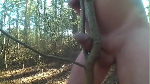 Play MP4 - Fucking trees 14