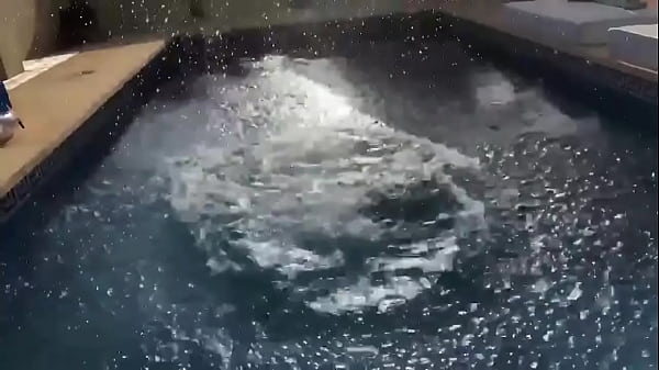 ️ update #36 2021 06 