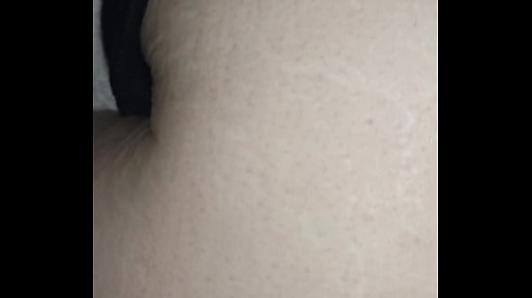 Black bull vs ravishing ray in the car