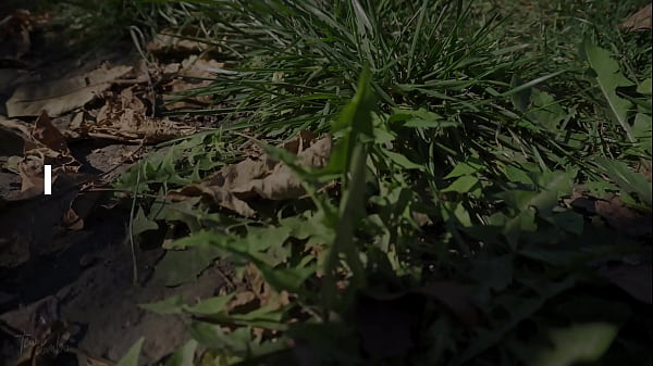 Sexy feet with long toes crushing flowers outdoors 