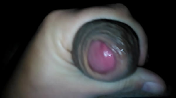 Play MP4 - lechazo en cuarentena