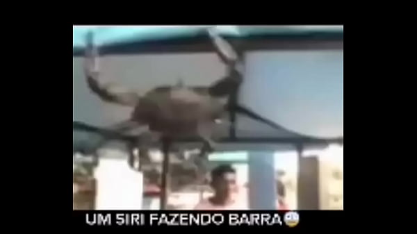 Nonton Senhor Siri Fazendo Flex&otilde;es Enquanto Narrador Fala thumbnail