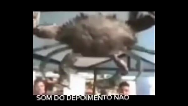 Senhor siri fazendo flex&otilde;es enquanto narrador fala 