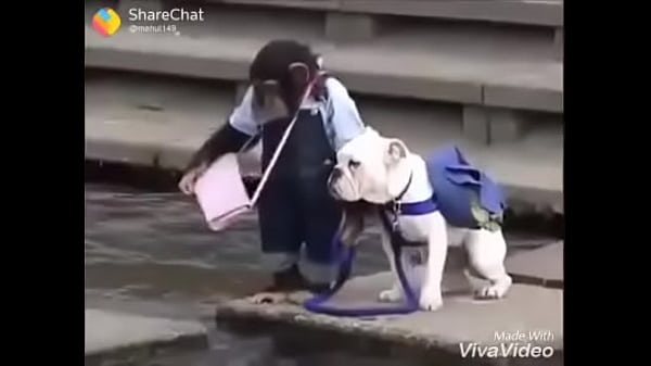 Nonton Do It In Your Personal Life thumbnail