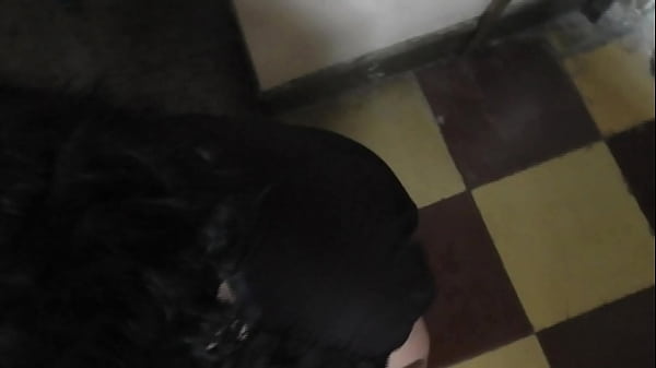 Mamada bien rica con mi novia.MTS
