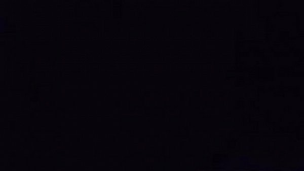 Topless Slut Shows Off Her Pussy 