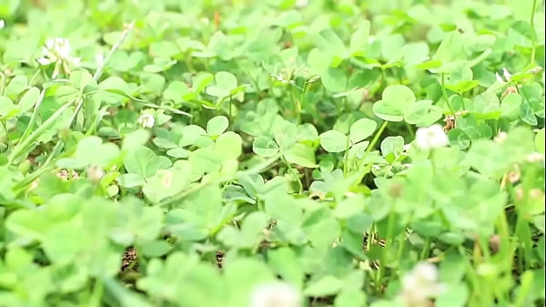 336knb 068 full version f84f0e　cute sexy japanese amature girl sex adult douga