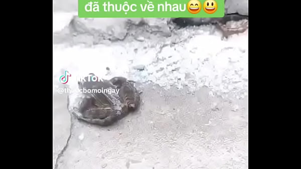 Nonton Verification Video thumbnail