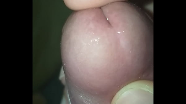 Pau pingando de tes&atilde;o bem molhado 