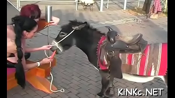 bsadomasochism whipping