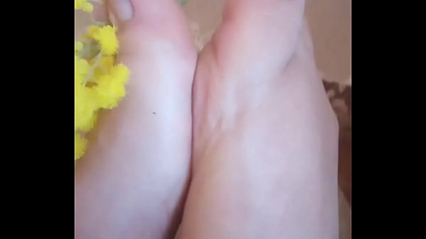 Piedini profumati di mimosa 