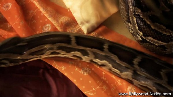 Brunette Lady Dance AndSeduce Her Lover