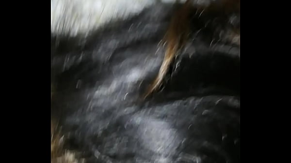 Celebraci&oacute;n de a&ntilde;o nuevo