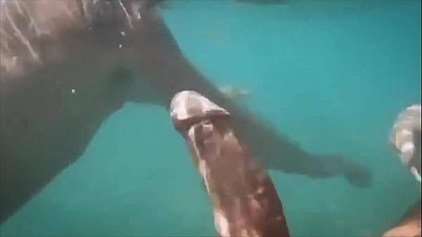 Gay Cruising Blowjob Lots of cum Vadim Romanov and stranger 