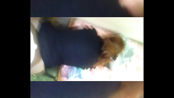 Play MP4 - Cogiendo con Medi mientras cuidaba la casa de un amigo