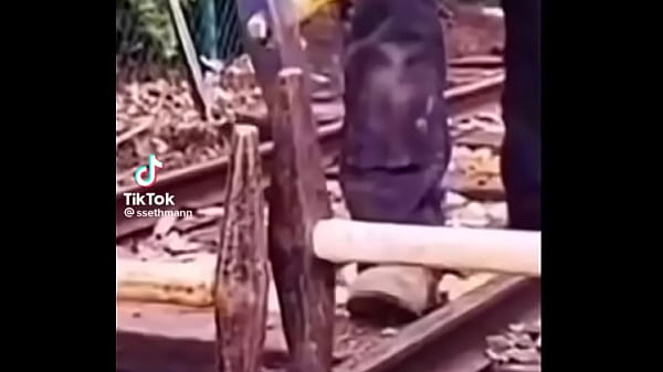 Nonton Quentin Yu thumbnail