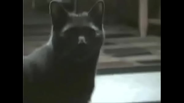 Alambrado Dedos_de Mantequilla