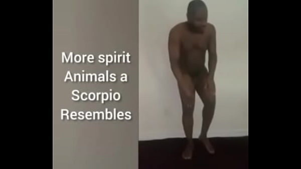 More ways to describe how and why the scorpio zodiac can still be a butterfly although they are a teddy bear a wolf also a boar sometimes as learned from online research for free and for fun 